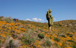 photo thumbnail #7