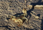 photo thumbnail #1