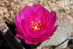 photo thumbnail #15