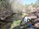 photo thumbnail #8