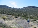 photo thumbnail #11