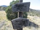 photo thumbnail #12