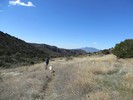 photo thumbnail #13