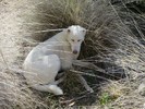 photo thumbnail #15