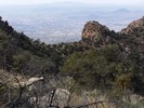 photo thumbnail #3