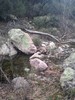 photo thumbnail #3