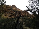 photo thumbnail #12