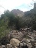2015-02-14 :2: Fish Creek Canyon - Bridge to Roger