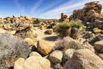 photo thumbnail #6