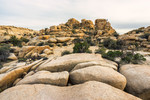 photo thumbnail #12