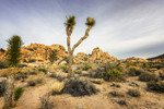 photo thumbnail #13