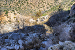 photo thumbnail #9
