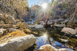 photo thumbnail #12