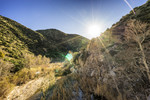 photo thumbnail #14