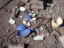 photo thumbnail #6