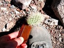 photo thumbnail #13