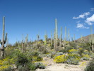 photo thumbnail #2
