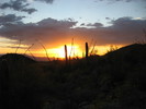 photo thumbnail #14