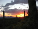 photo thumbnail #15