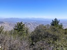 photo thumbnail #5