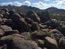 photo thumbnail #13
