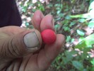 photo thumbnail #6