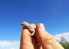 photo thumbnail #1