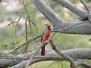 Featured Full Photo