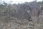 photo thumbnail #10
