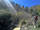 photo thumbnail #5