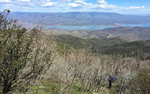 photo thumbnail #7