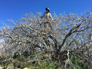 photo thumbnail #9