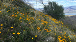 photo thumbnail #15