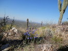 photo thumbnail #1