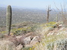 photo thumbnail #2