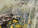 photo thumbnail #12