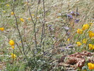 photo thumbnail #13