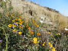 photo thumbnail #14