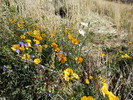 photo thumbnail #15