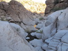 photo thumbnail #1