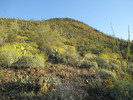 photo thumbnail #2