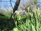 photo thumbnail #10