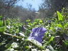photo thumbnail #11