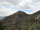 photo thumbnail #1