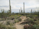 photo thumbnail #2