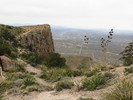photo thumbnail #7