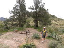 photo thumbnail #11