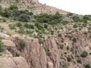 photo thumbnail #13