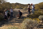 photo thumbnail #4