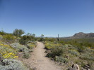 photo thumbnail #5